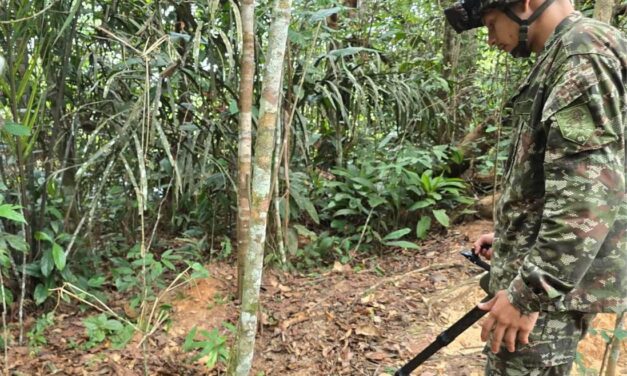 Ejército neutraliza campo minado en zona rural de Miraflores, Guaviare