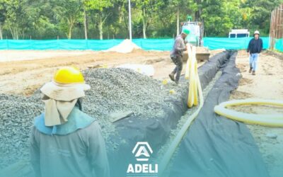 ADELI impulsa el desarrollo