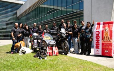 Yamaha y Ringo recorrerán Colombia durante 90 días para llevar alimento y apoyo a perros rescatados