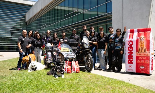 Yamaha y Ringo recorrerán Colombia durante 90 días para llevar alimento y apoyo a perros rescatados