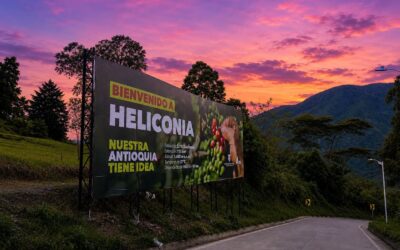 Heliconia construye futuro