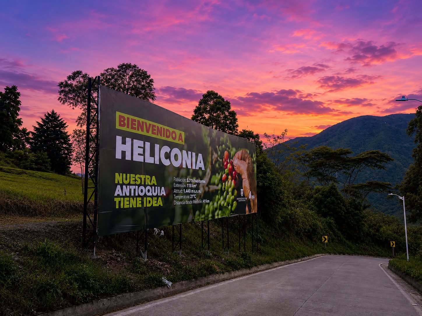 HELICONIA