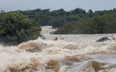 Parques Nacionales abre consulta pública sobre política ambiental
