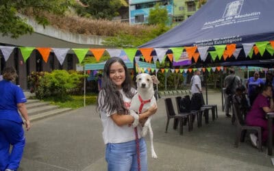 Medellín pondrá en marcha Coolpets con festival en Ciudad del Río