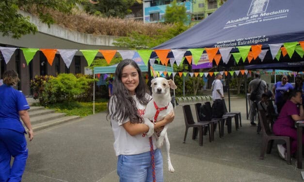 Medellín pondrá en marcha Coolpets con festival en Ciudad del Río