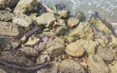 Corpouraba alerta por fragata portuguesa en playas de Necoclí