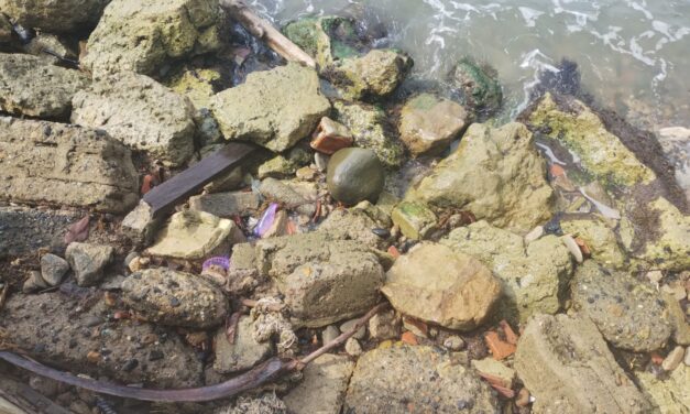 Corpouraba alerta por fragata portuguesa en playas de Necoclí