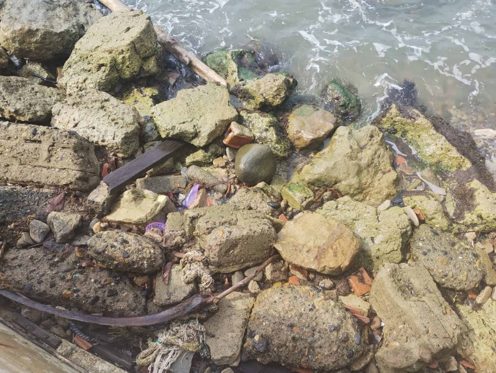 Fragata portuguesa: alerta preventiva en Necoclí Captura de la alerta por fragata portuguesa en playas de Necoclí publicada por Corpouraba