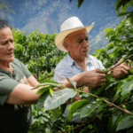 Caficultura sostenible en Sonsón y Abejorral