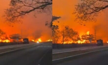 Tolima enfrenta 24 incendios activos y más de 30.000 hectáreas afectadas