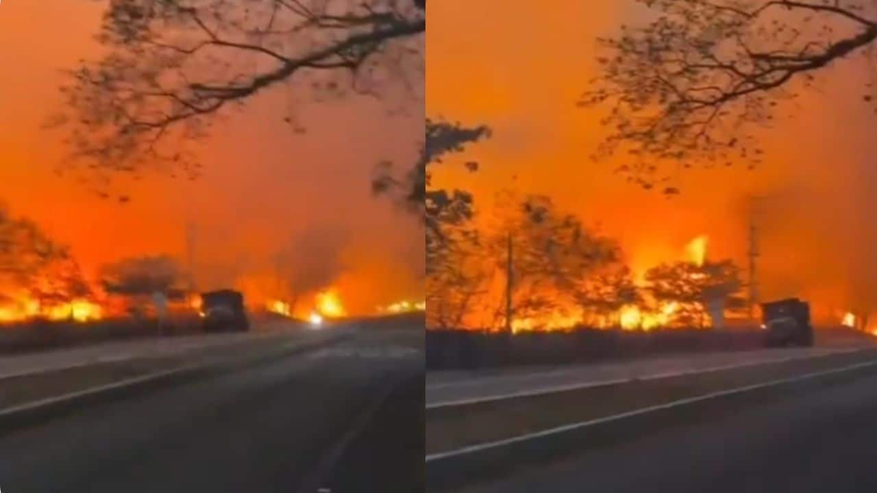 Incendios Tolima: 24 focos activos y 30.000 ha arrasadas Bomberos atienden incendios Tolima en una zona de vegetación afectada por las llamas