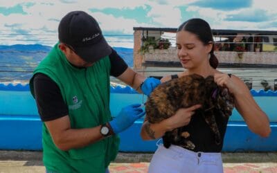Yarumal anuncia jornada de vacunación antirrábica en el sector La Virgen