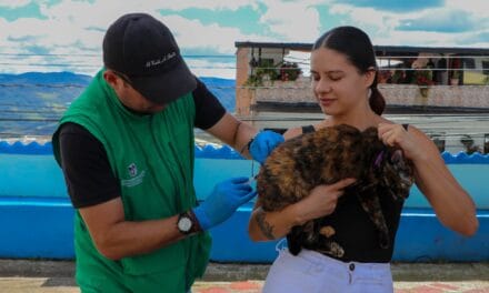 Yarumal anuncia jornada de vacunación antirrábica en el sector La Virgen