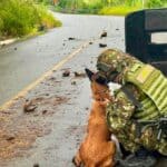 Destruyen explosivo en la vía a Ituango y restablecen el paso