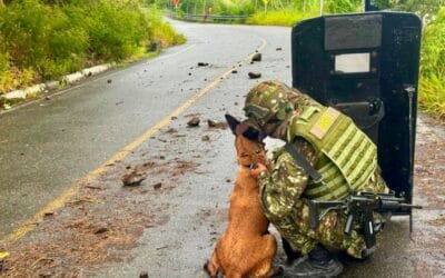 Destruyen explosivo en la vía a Ituango y restablecen el paso