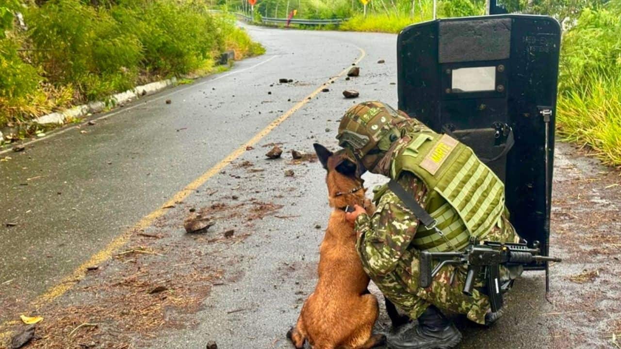 Vía a Ituango reabre tras desactivar un explosivo Registro del operativo en la vía a Ituango durante la destrucción controlada de un explosivo
