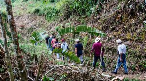 Cañasgordas reporta avances en vía rural, Colombia Mayor y control de roedores