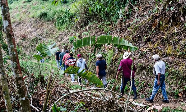 Cañasgordas reporta avances en vía rural, Colombia Mayor y control de roedores