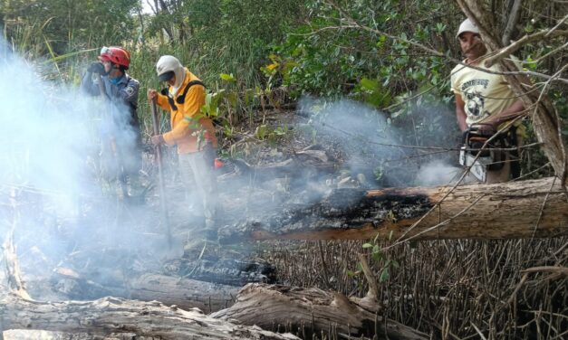Parques Nacionales reporta 15 incendios y daños a la fauna