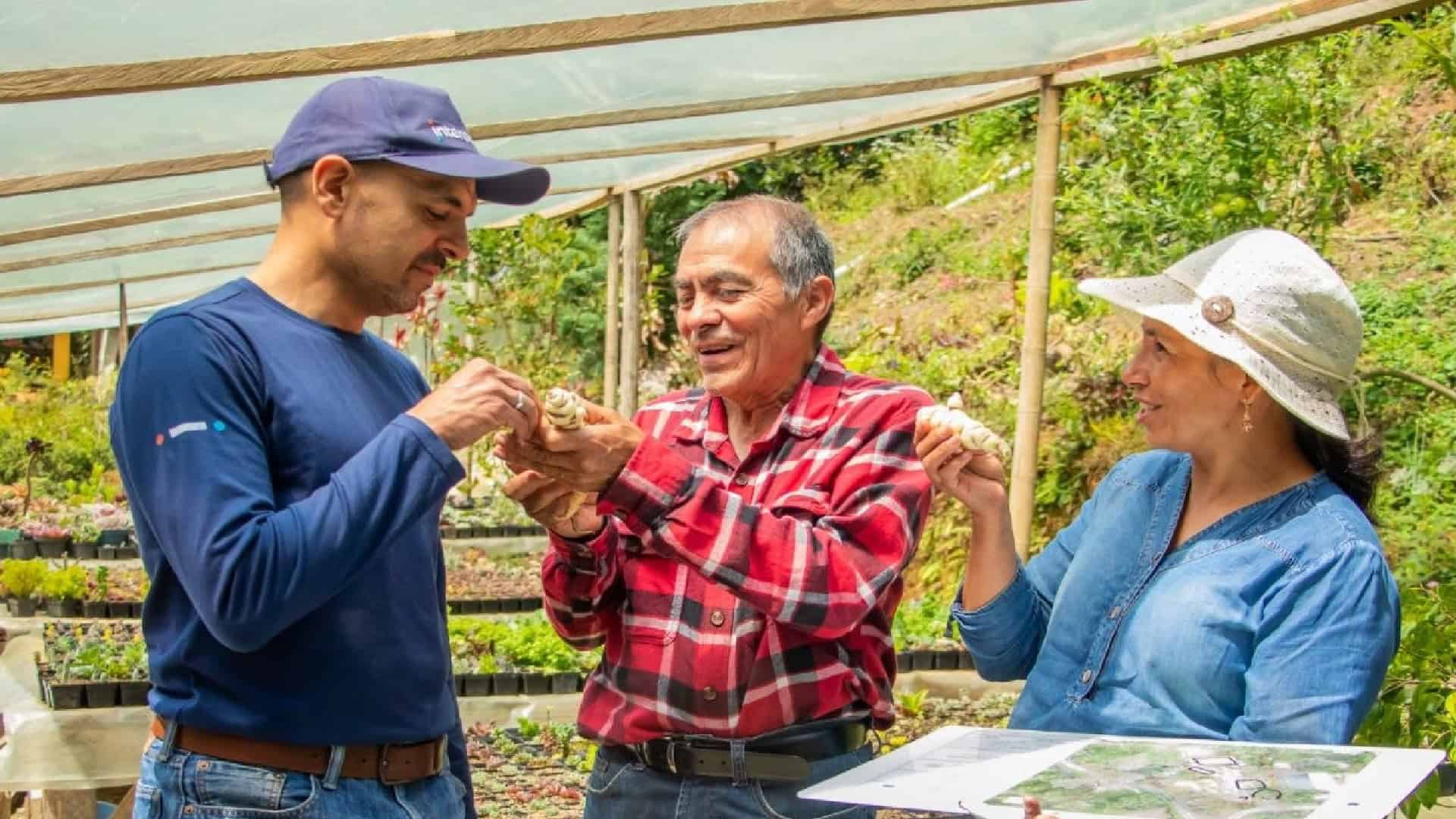 Interactuar reporta alza de ventas y empleo en agroempresas
