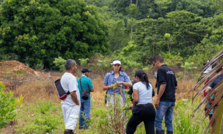 Villa Hermosa: choibá, vainilla y monitoreo para conservar bosque