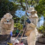 Medellín interviene cinco zonas críticas del centro con jornadas de limpieza y control