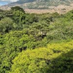 Director del GEF destaca a Medellín en Climate Week