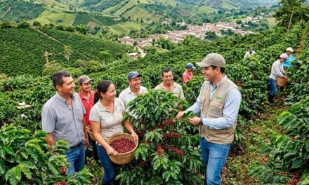 Alianza entre Guadalupe y EPM acompaña a 40 productores de café
