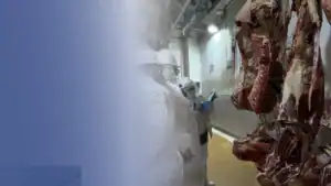 Curazao y Aruba auditan 12 plantas colombianas para exportación de carne
