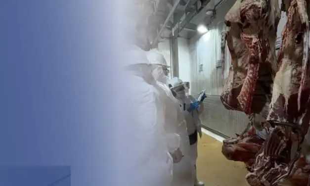 Curazao y Aruba auditan 12 plantas colombianas para exportación de carne