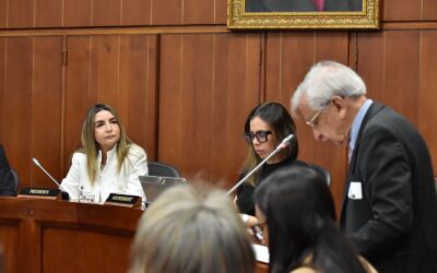 Senado avanza en reglas para la IA en salud antes del primer debate