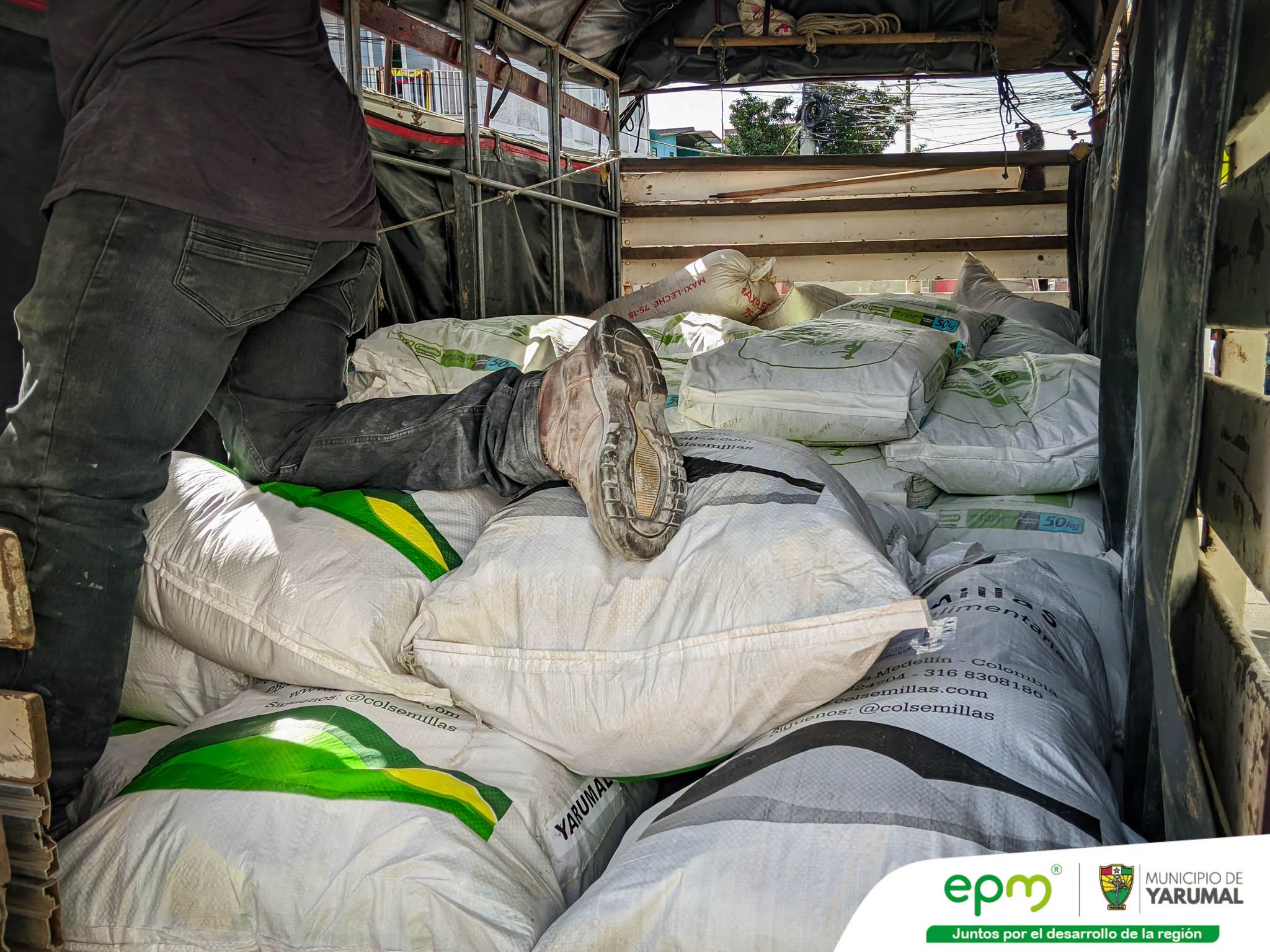 Insumos agrícolas para 10 productores de Yarumal Entrega de insumos agrícolas a productores rurales en Yarumal