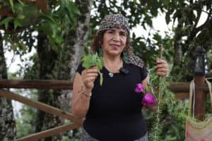 Palmitas impulsa rutas culturales y tejido campesino con PP