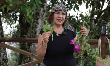 Palmitas impulsa rutas culturales y tejido campesino con PP