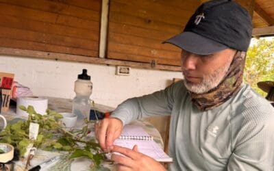 Investigación de la UdeA identifica 1.800 plantas alimenticias en Colombia