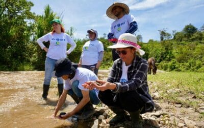 Corantioquia pide evitar remoción de vegetación acuática durante El Niño