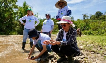 Corantioquia pide evitar remoción de vegetación acuática durante El Niño